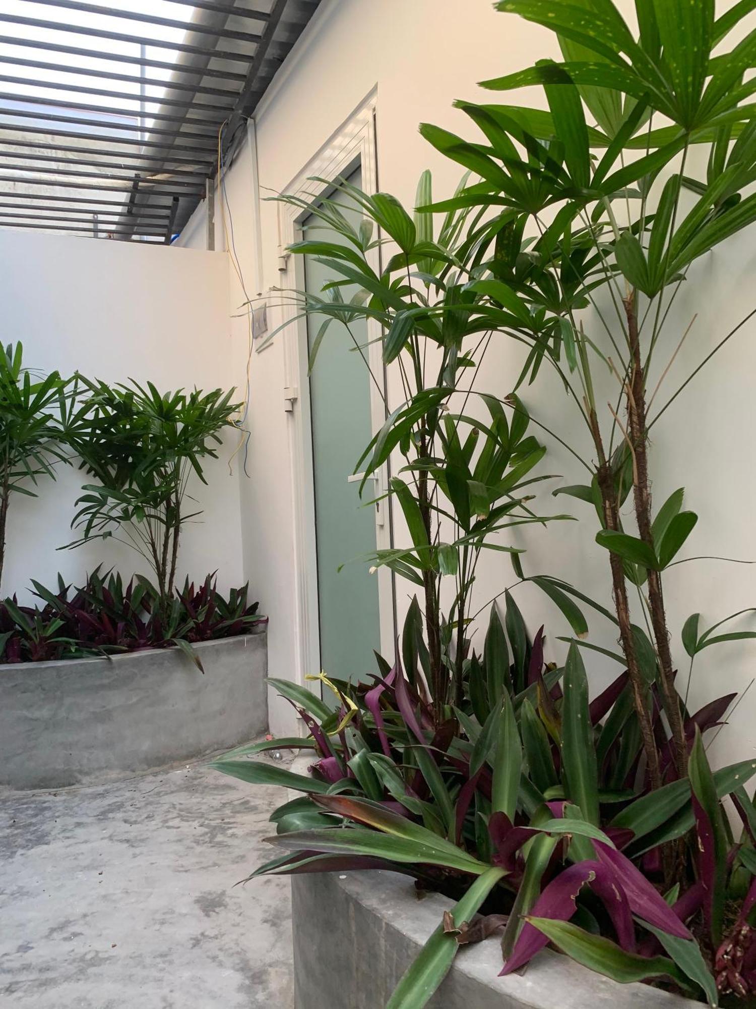 TS Beach House Phú Quốc Exterior foto